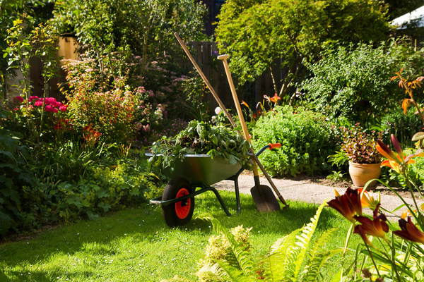 what kind of work in the garden