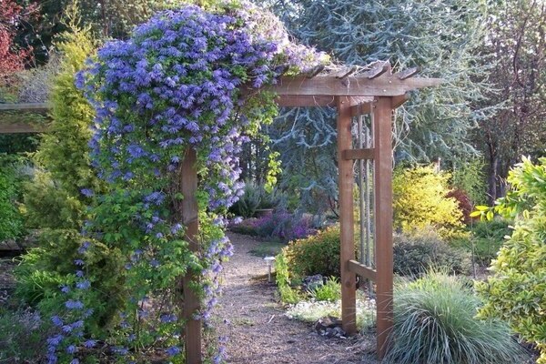 types de jardinage vertical
