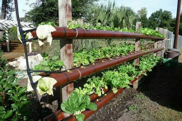 Diy vertical strawberry beds from plumbing pipes