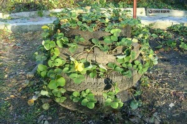 Vertical bed of old tires