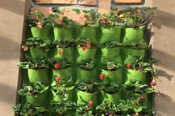 Vertical beds from bags