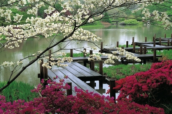 jardin japonais