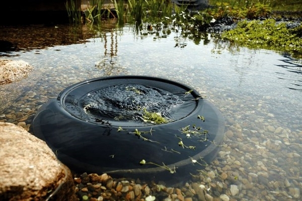 limpeza de lagoas rurais