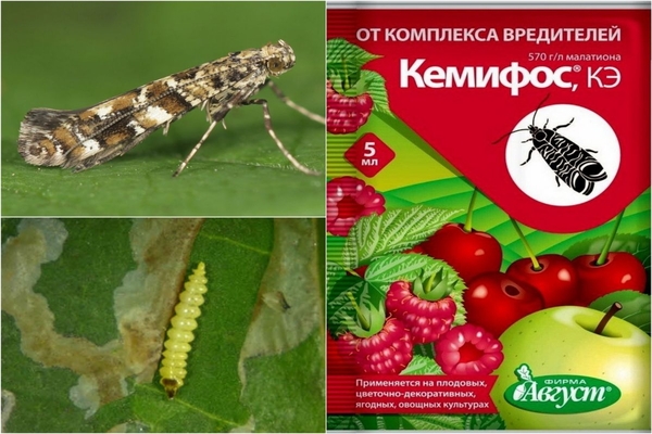Instructions de Kemifos