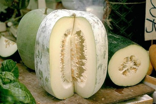 Wachskürbis: Nährwert des Produkts