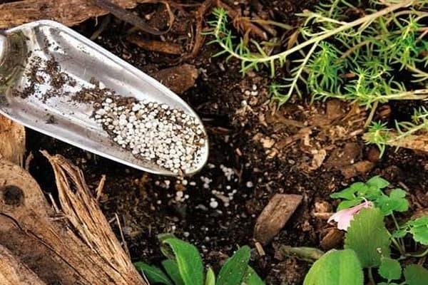 name of nitrogen fertilizers