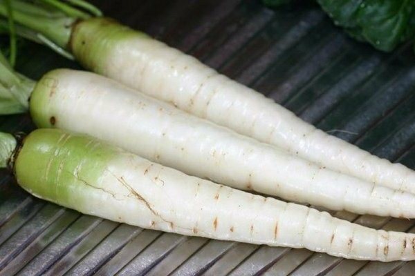 Carottes blanches : ce qui détermine la couleur du fruit