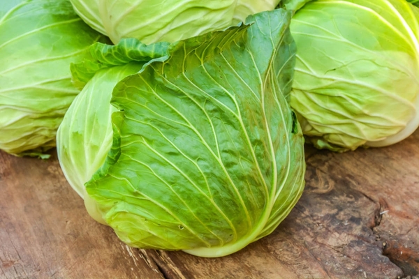 keep vegetables fresh