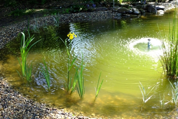 lagoa na dacha