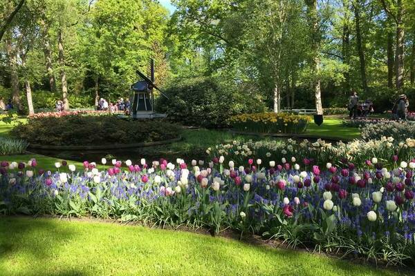 Foto de jardim holandês