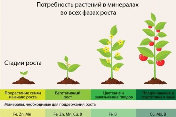 fertilizantes quelados