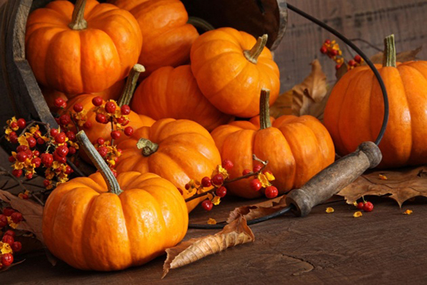 pumpkin storage