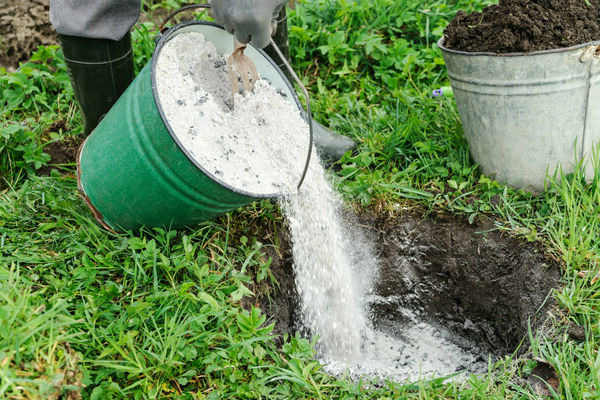 fertiliser les concombres