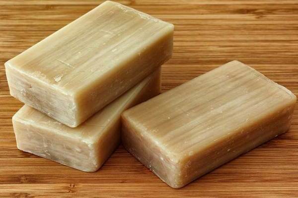 manchas vermelhas nas folhas de groselha