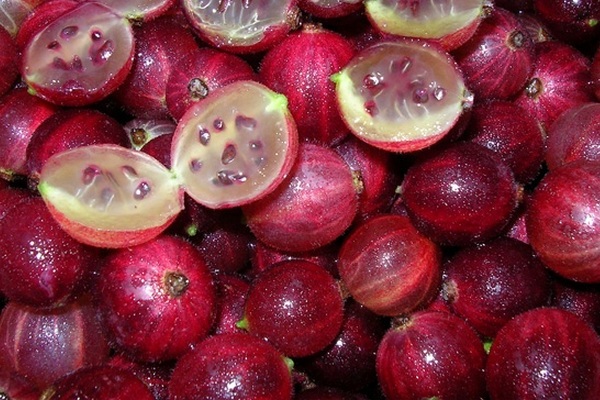 Description de la variété de bonbons à la groseille