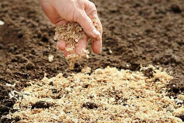 sawdust for the garden
