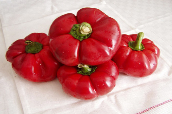 Pepper Gogoshary photo, description of subspecies