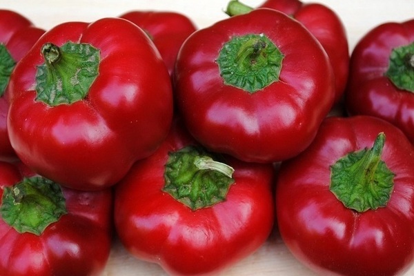 Pepper Gogoshary photo, description of subspecies