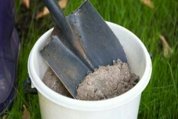 feeding pepper with ash in the open field