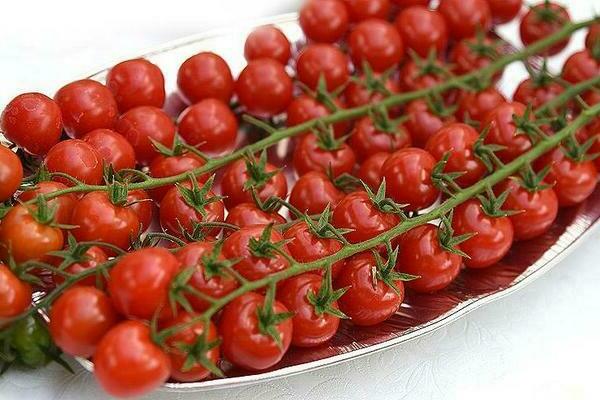 Tomates cerises: variétés
