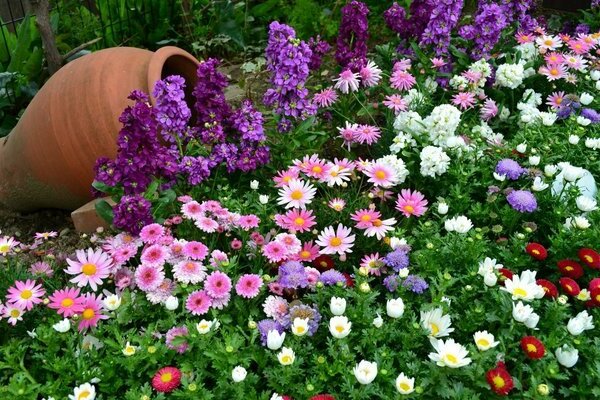 jardins suíços