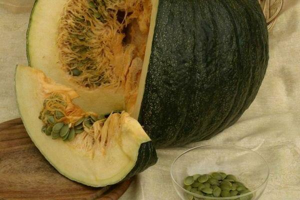 Citrouille gymnospermeuse: une description des avantages et des inconvénients de l'utilisation