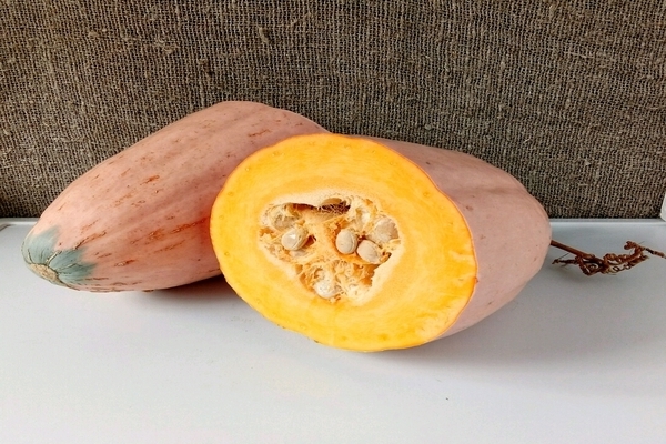descrição de banana rosa abóbora
