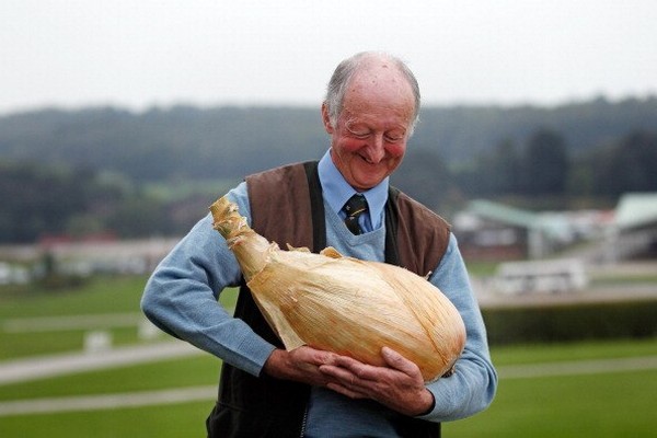 onion seeds exhibition