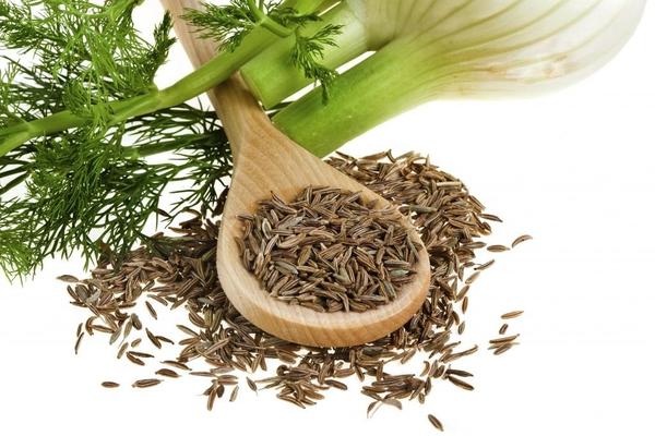 fennel or dill