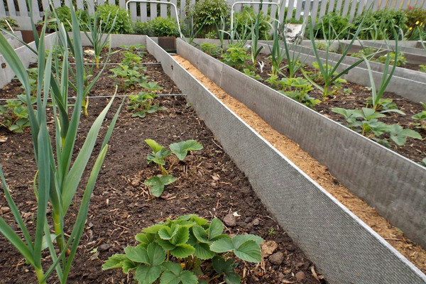 camas de ardósia