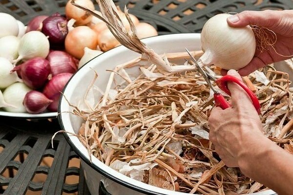 trim the onion