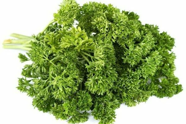 Curly parsley