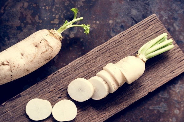 radis daikon photo