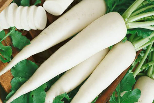 avantages et inconvénients du radis daikon