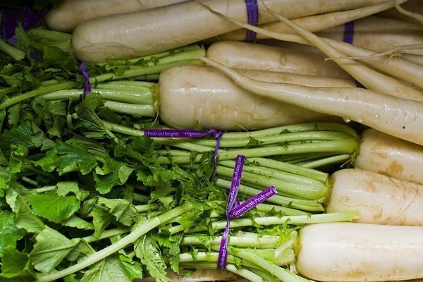propriétés du radis daikon