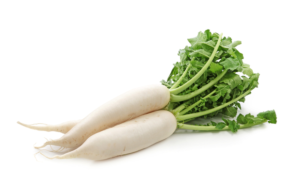 quand planter le radis daikon