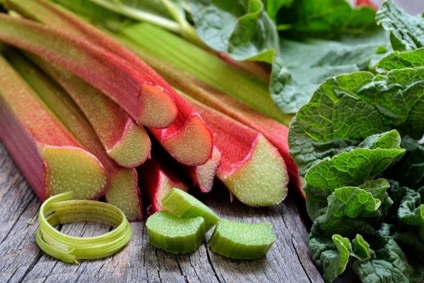 variété de rhubarbe