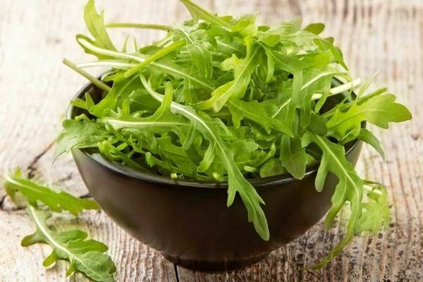roquette pour l'hiver