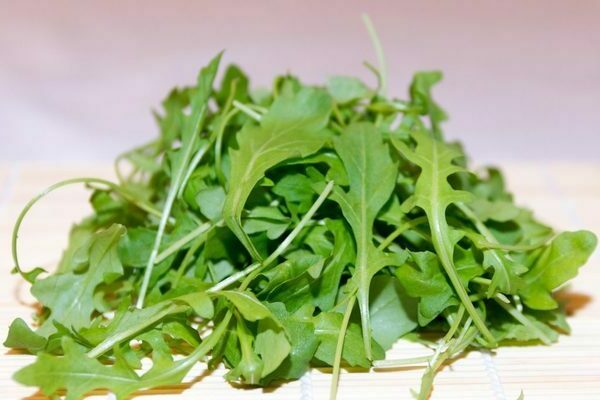 roquette pour l'hiver comment économiser