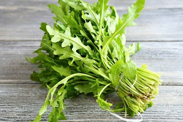 stockage de roquette pour l'hiver