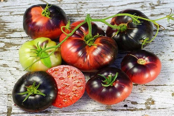 variétés de tomates avis photo