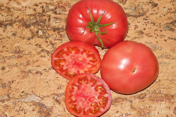 tomate roi des rois