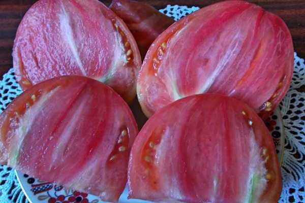 eagle beak tomato reviews photo