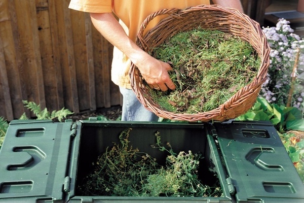 grass fertilizer with water