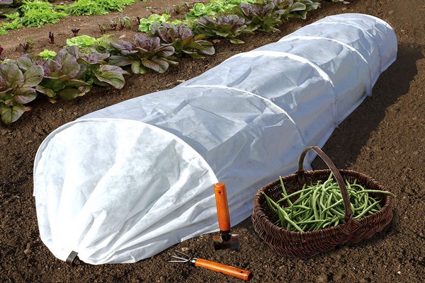 covering material + for beds