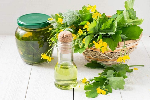 celandine application