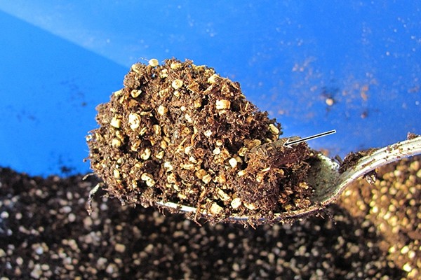 soil + for violets composition + do it yourself
